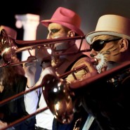 Инструментальное шоу «Джаз-Коты» от Оркестра солистов CITY MUSIC BAND фотографии
