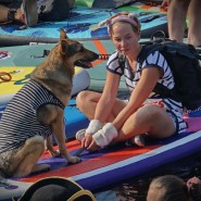 Фестиваль Фонтанка CUP-2022 фотографии