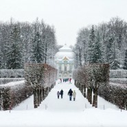 Музей-заповедник Царское село зима 2023 фотографии