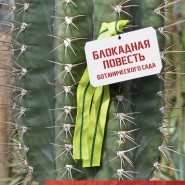 Патриотическая прогулка «Блокадная повесть Ботанического сада» 2026 фотографии