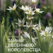 Фестиваль «Тайны Весеннего королевства-2026»  фотографии
