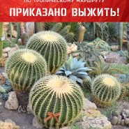 Прогулка по Тропическому маршруту «Приказано выжить!» 2021 фотографии