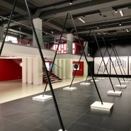 Выставка «Виллем ван Вигель. Кинетическая скульптура» фотографии