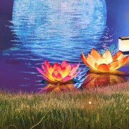 Фестиваль волшебства и исполнения желаний «DreamFest-2024» фотографии