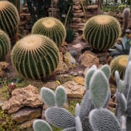 Патриотическая прогулка по Тропическому маршруту 2024 фотографии