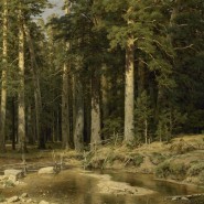Выставка «Иван Шишкин. Русский лес» фотографии