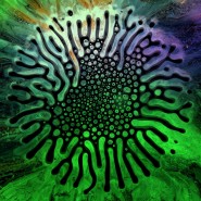Выставка «Эволюция» фотографии