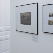 Выставка «Аскания-Нова. Письма из земного рая» фотографии