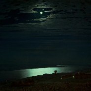 Выставка «Архип Куинджи. Иллюзия света» фотографии
