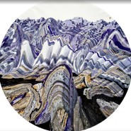 Выставка «Живая материя» фотографии