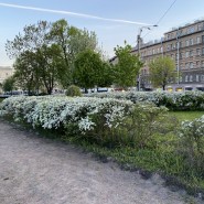 Топ-10 интересных событий в Санкт-Петербурге в выходные 7 и 8 июня 2025 фотографии