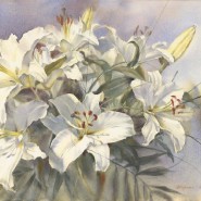 Выставка «Цветы. Flowers» фотографии