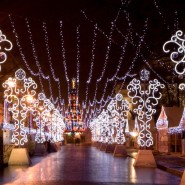 Экскурсия «Новогодний Петербург и самые красивые ёлки города» фотографии