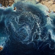 Выставка Екатерины Ерохиной «Размывая границы» фотографии