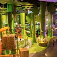 Акция «Летний тариф» в Парке развлечений Angry Birds Activity Park лето 2022 фотографии