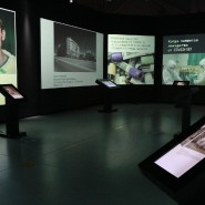 Выставка «Жизнь с вирусами» фотографии