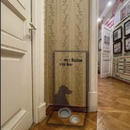 Выставка «В нашей квартире собаки и кот: питомцы С.М. Кирова» фотографии