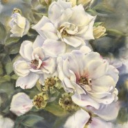 Выставка «Цветы. Flowers» фотографии