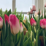 Фестиваль «Весна на высоте» фотографии