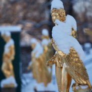 Топ-10 интересных событий в Санкт-Петербурге в выходные 1 и 2 апреля 2023 фотографии