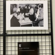 Выставка «Гранин и Германия» фотографии