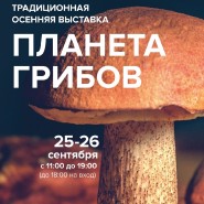 Выставка «Планета грибов» 2021 фотографии