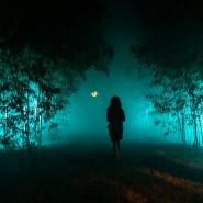 Мультимедийная выставка «Сад Света» фотографии