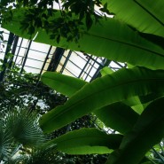 Патриотическая прогулка по Тропическому маршруту 2024 фотографии