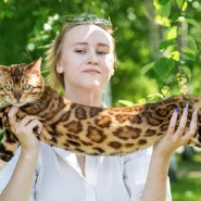 Фестиваль породистых животных «ЛапЛандия» фотографии