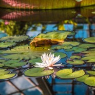 Экскурсия  «Водный маршрут» фотографии