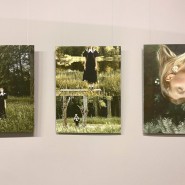 Выставка «Поэзия стихии» фотографии