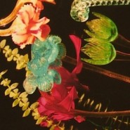 Выставка «Flower Power» фотографии