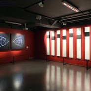Выставка «Виллем ван Вигель. Кинетическая скульптура» фотографии