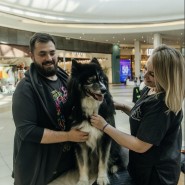 Фестиваль «Мой питомец — Superstar!» фотографии