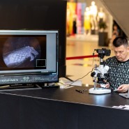 Выставка микроскульптур Салавата Фидаи «На кончике карандаша» фотографии