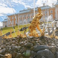 Торжественный пуск фонтанов в Петергофе 2026 фотографии