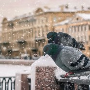 Топ-10 интересных событий в Санкт-Петербурге в выходные 18 и 19 ноября 2023 г. фотографии
