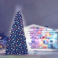 Уличный проект «4 сезона. Туристический Петербург» фотографии