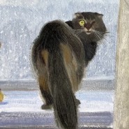 Выставка «То, что греет» фотографии
