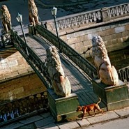 Фотовыставка «Город мостов» фотографии