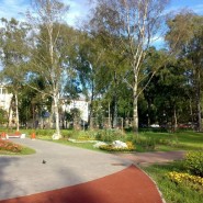 Семейный праздник «ВСЕвСАД» ко Дню Василеостровского района 2023 фотографии