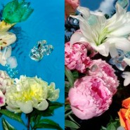 Выставка «Flower Power» фотографии
