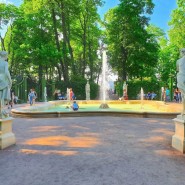 Семейный праздник «ВСЕвСАД» ко Дню Василеостровского района 2023 фотографии