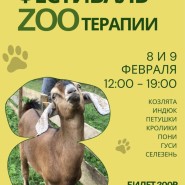 Фестиваль Зоотерапии фотографии