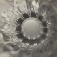 Выставка «Жизнь вещей» фотографии