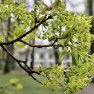 Выставка «Иосиф Бродский. Небытие на свету» фотографии