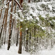 Топ-10 интересных событий в Санкт-Петербурге 5 и 6 февраля 2022 фотографии