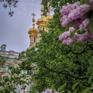 Сиреневая аллея у главного входа в Екатерининский парк фотографии