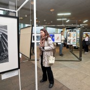 Выставка современной книжной иллюстрации в Главном штабе Эрмитажа фотографии