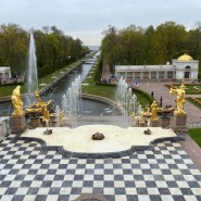 Летний сезон в парке Петергоф 2023 фотографии